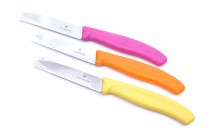 Univerzální kuchyňský nůž 10cm Victorinox